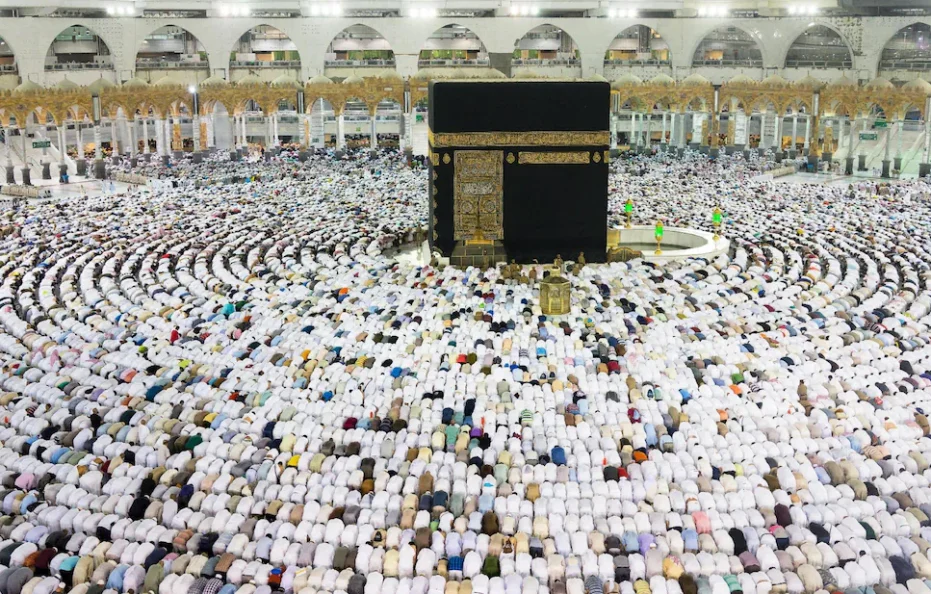 فندق نسائم الجورى