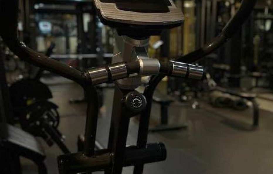 فندق فيوليت العزيزية